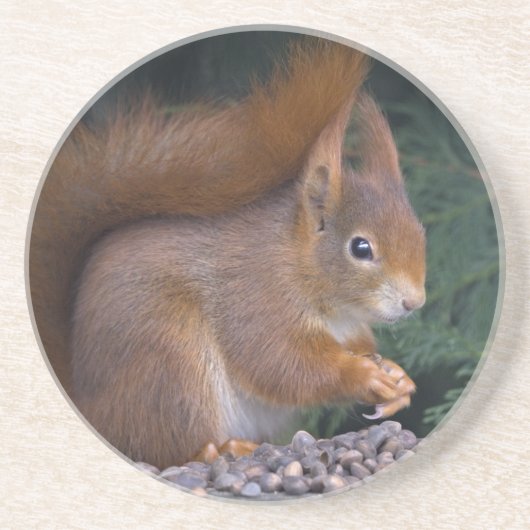 Nut Brunch-Untersetzer Getränkeuntersetzer (Vorne)