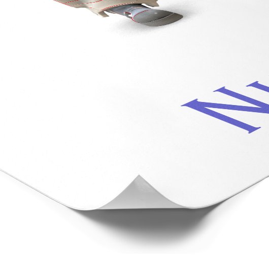 Nut-free Zone Poster (Ecke)