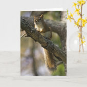 Nut Patrol Birthday Card Karte (Gelbe Blume)