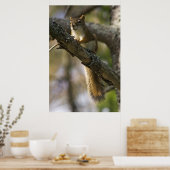 Nut Patrol Fine Art Print Poster (Küche)