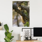 Nut Patrol Fine Art Print Poster (Heimbüro)