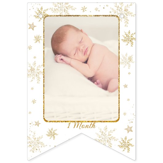 Nutcracker Onederland 1st Birthday Photo Milestone Wimpelkette (Dritte Fahne)