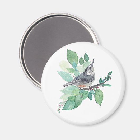 Nuthatch auf Zweig Magnet (Vorderseite/Rückseite)