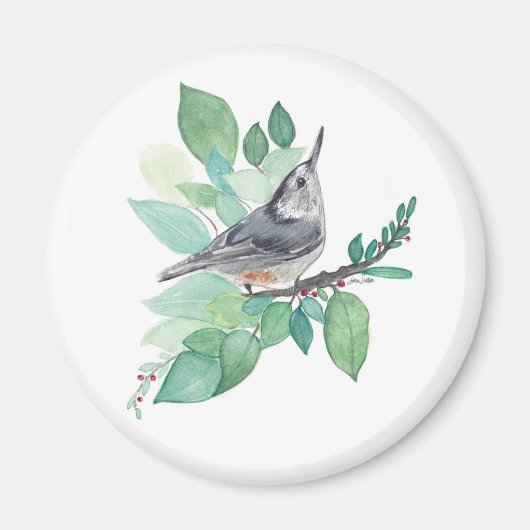 Nuthatch auf Zweig Magnet (Vorne)