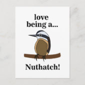 Nuthatch Bird Backyard Birder Birdwatcher Postkarte (Vorderseite)