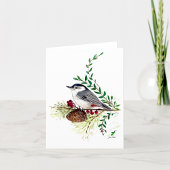 Nuthatch Bird Karte