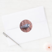 Nuthatch Bird Stickers (Umschlag)