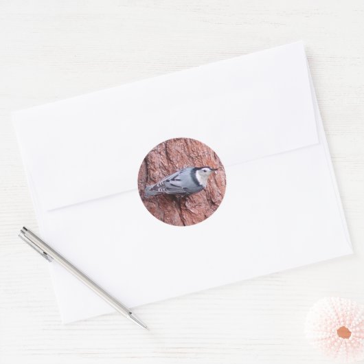 Nuthatch Bird Stickers (Umschlag)