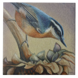 Nuthatch Bird und Sunflower Seeds Kunst, Dichtung  Fliese