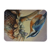 Nuthatch Bird und Sunflower Seeds Kunst, Dichtung Magnet (Horizontal)