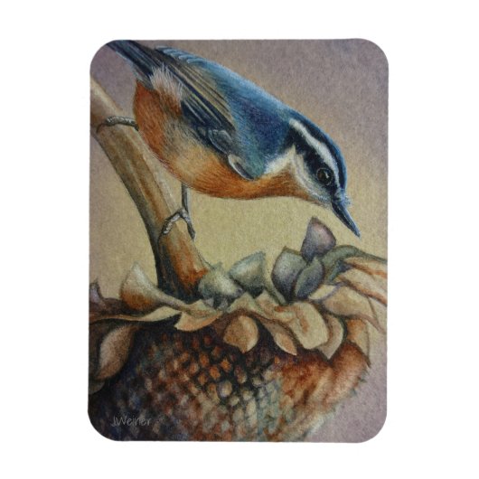 Nuthatch Bird und Sunflower Seeds Kunst, Dichtung Magnet (Vertikal)