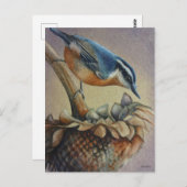 Nuthatch Bird und Sunflower Seeds Kunst, Dichtung Postkarte (Vorne/Hinten)