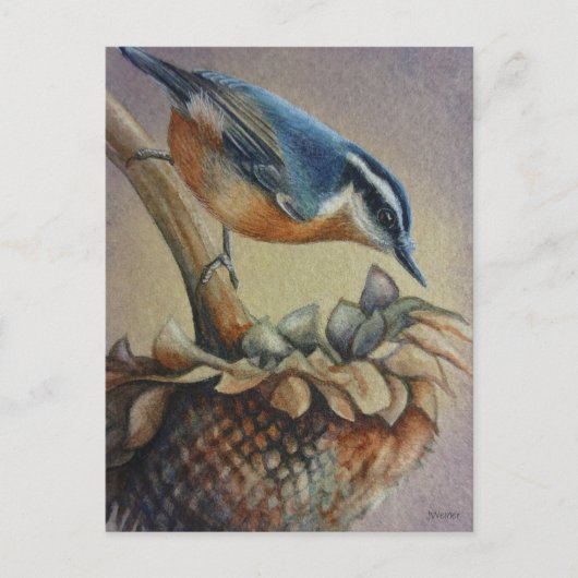 Nuthatch Bird und Sunflower Seeds Kunst, Dichtung Postkarte (Vorderseite)