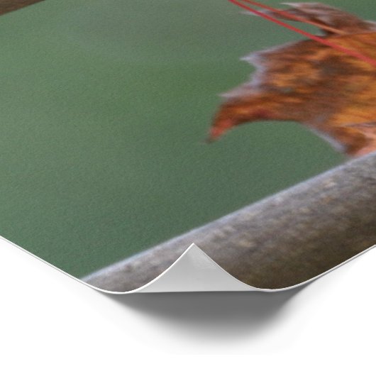 Nuthatch Collage Poster (Ecke)