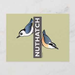 Nuthatch Fan Postkarte