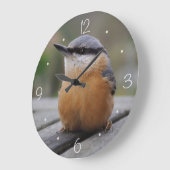 Nuthatch-Foto Große Wanduhr (Winkel)