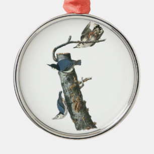 Nuthatch in weißer Brühe von Audubon Ornament Aus Metall