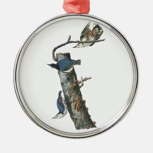 Nuthatch in weißer Brühe von Audubon Ornament Aus Metall (Vorne)