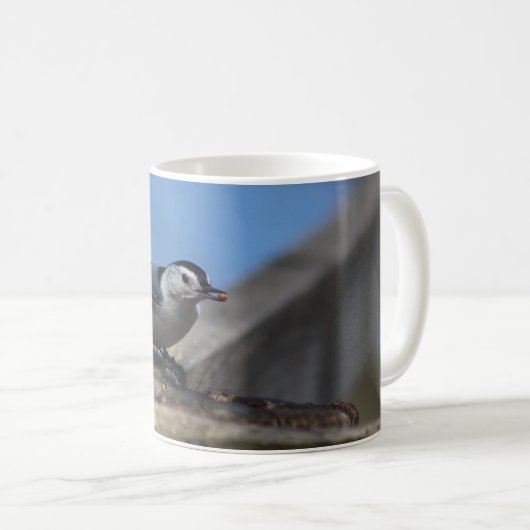 Nuthatch Kaffeetasse (VorderseiteRechts)