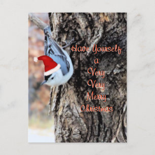 Nuthatch Merry Christmas Postcard-customize Feiertagspostkarte