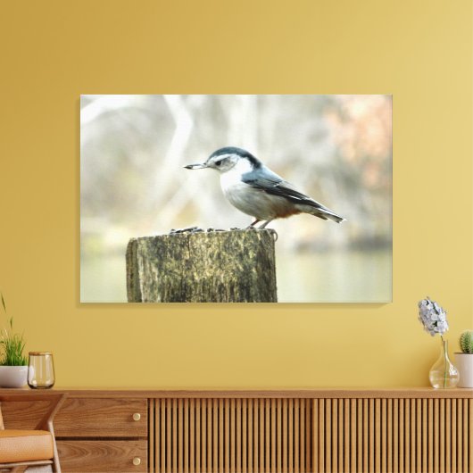 Nuthatch mit Sonnenblumenpflanzenfutter Leinwanddruck (Insitu (Wohnzimmer))
