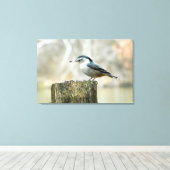 Nuthatch mit Sonnenblumenpflanzenfutter Leinwanddruck (Insitu (Holzboden))