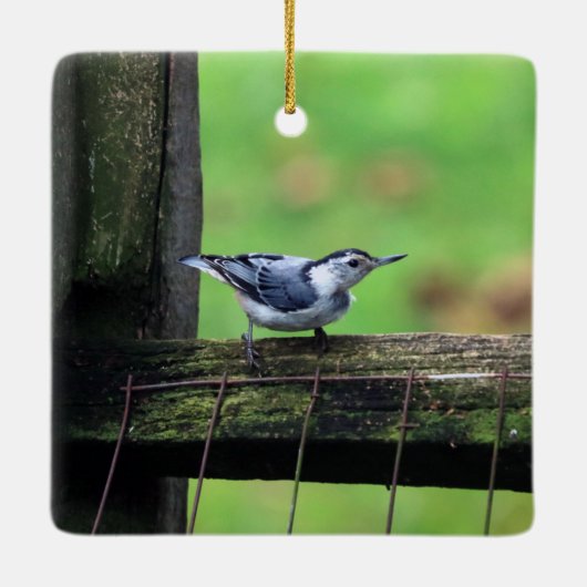 Nuthatch Ornament (Rückseite)