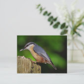 Nuthatch Postcard Postkarte (Stehend Vorderseite)