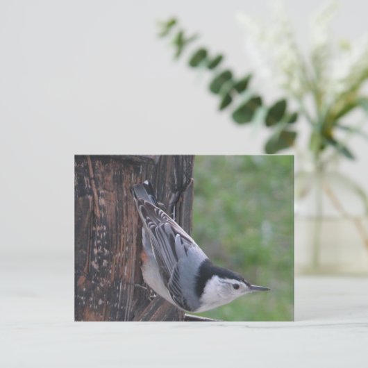 Nuthatch Postkarte (Stehend Vorderseite)