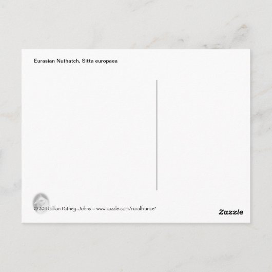 Nuthatch-Postkarte Postkarte (Rückseite)