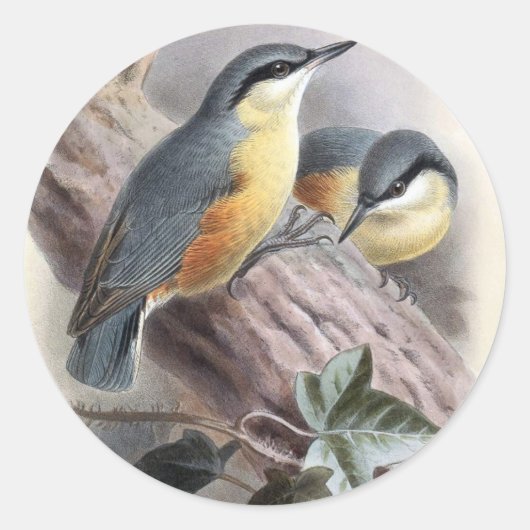 Nuthatch Runder Aufkleber (Vorderseite)