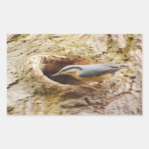 Nuthatch- und Woodpecker-Hole-Aufkleber Rechteckiger Aufkleber