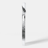 Nuthatch White Bird Fotografie Case-Mate iPhone Hülle (Rückseite / Rechts)