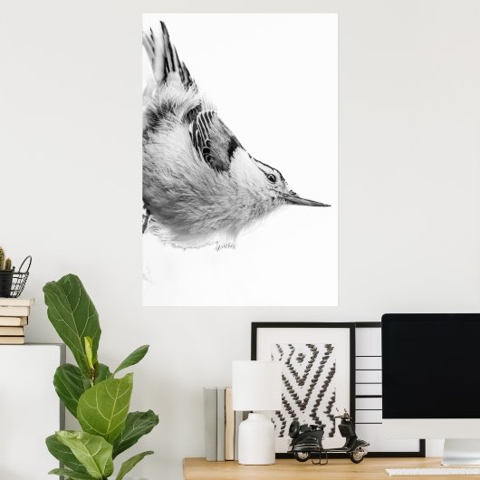 Nuthatch, White Bird Fotografie Poster (Heimbüro)