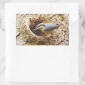 Nuthatsch und Speckhalle Rechteckiger Aufkleber (Tasche)