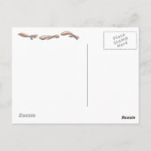 Nutmaste Postkarte (Rückseite)