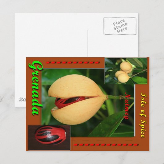 Nutmeg Postcard Postkarte (Vorne/Hinten)