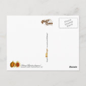 Nutmeg - Vintage Abbildung Postkarte (Rückseite)