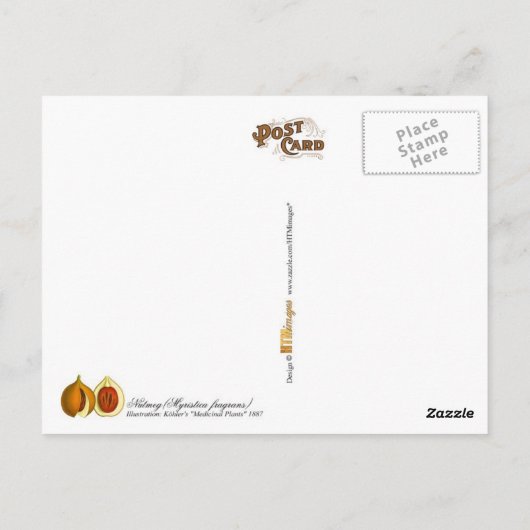Nutmeg - Vintage Abbildung Postkarte (Rückseite)