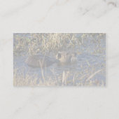 Nutria im Wasser Visitenkarte (Rückseite)