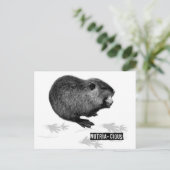 Nutrichte Nutria Postcard Postkarte (Stehend Vorderseite)