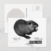 Nutrichte Nutria Postcard Postkarte (Vorne/Hinten)