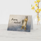 Nuts Belated Birthday mit Funny Eichhörnchen Karte (Gelbe Blume)