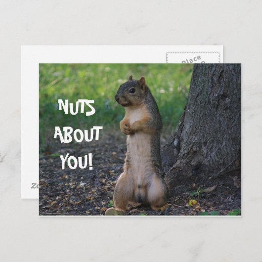 NUTS ÜBER DICH! POSTKARTE (Vorne/Hinten)
