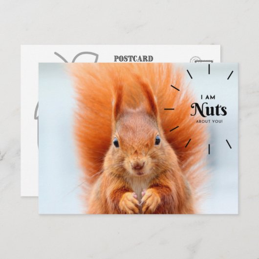 Nuts über Ihre Postkarte (Vorne/Hinten)