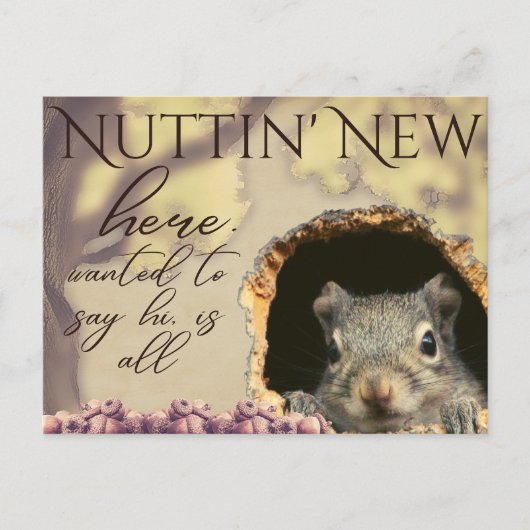 Nuttin' New Squirrel Vintage-Style Postkarten (Vorderseite)