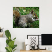 Nutty squirrel Closeup Poster (Heimbüro)