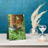 Nutty Upside Down Eichhörnchen Dekorative Print. Fotoplatte (Seite)