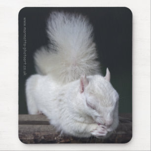 Nutty's Prayer-Mauspad Mousepad