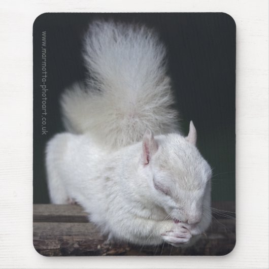 Nutty's Prayer Mousemat Mousepad (Vorne)